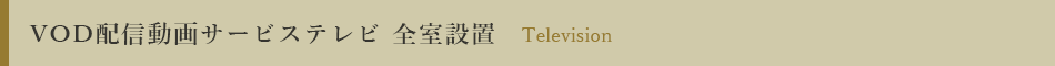 VOD配信動画サービステレビ 全室設置